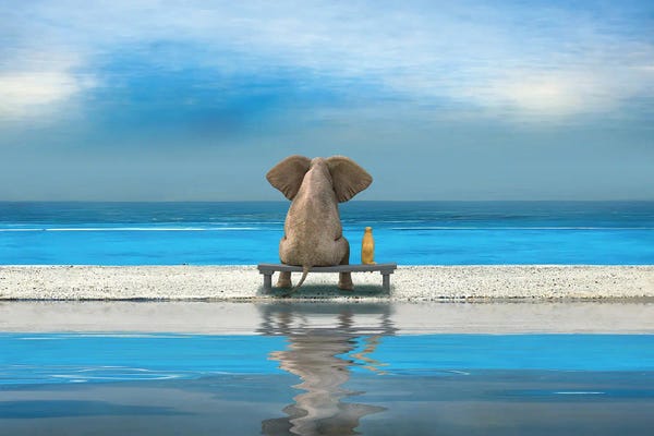 Mike Kiev: Elephant And Dog Sitting On Sandy Beach by Mike Kiev