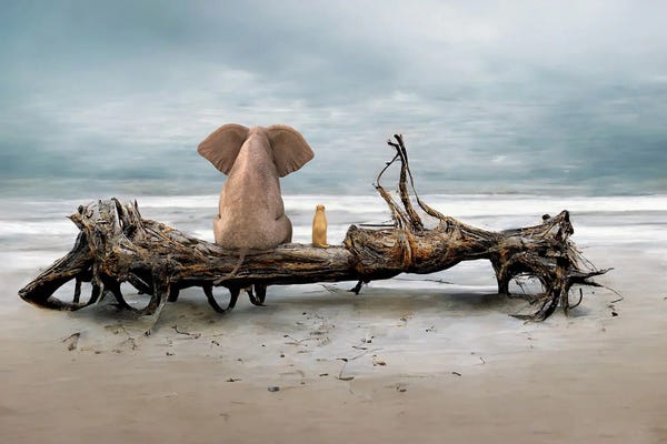 Wall Art: Elephant And A Dog Are Sitting On Driftwood by Mike Kiev