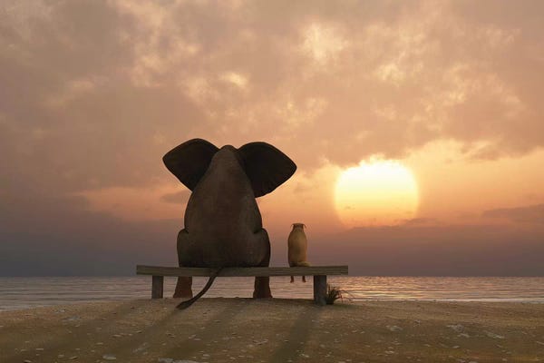 Elephants: Elephant And Dog Sit On A Summer Beach At Sunset by Mike Kiev