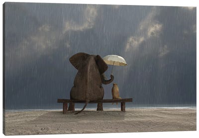 Elephant And Dog Sit Under The Rain Canvas Art Print - Humor Art