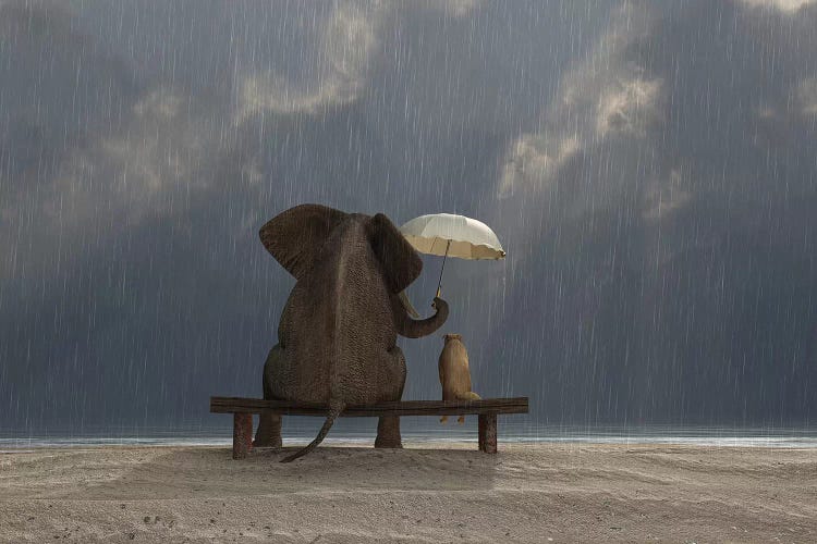 Elephant And Dog Sit Under The Rain