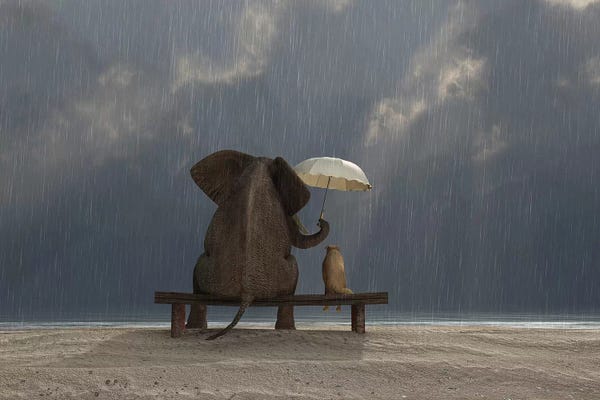 Kids Inspirational Art: Elephant And Dog Sit Under The Rain by Mike Kiev
