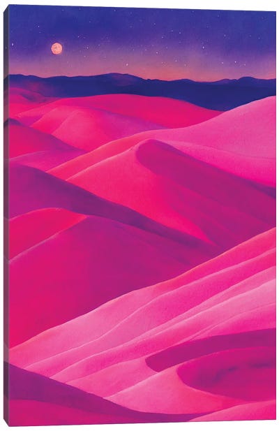 Pink Desert Canvas Art Print - Mike Kiev