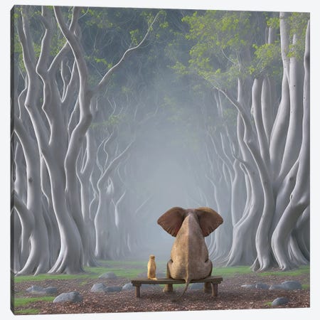 Elephant And Dog Sitting On An Alley Of Trees Canvas Print #MII417} by Mike Kiev Canvas Art