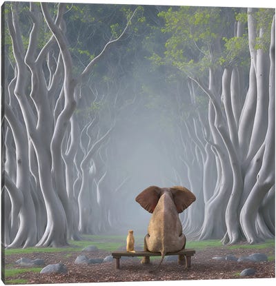 Elephant And Dog Sitting On An Alley Of Trees Canvas Art Print - Mike Kiev