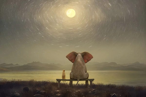 Mike Kiev: Elephant And Dog Are Sitting On The Shore On A Moonlit Night by Mike Kiev