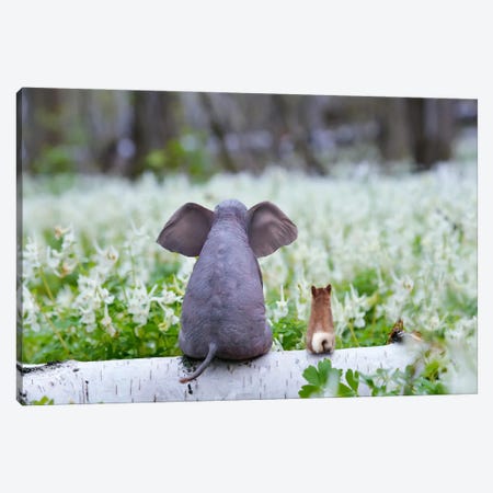Elephant And Dog Sit On A Spring Meadow Canvas Print #MII419} by Mike Kiev Canvas Art Print