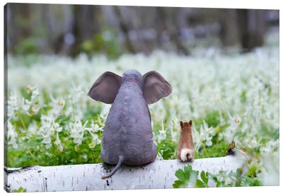 Elephant And Dog Sit On A Spring Meadow Canvas Art Print - Mike Kiev