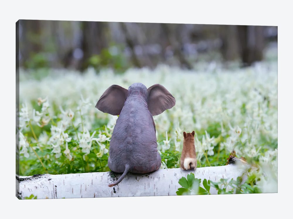 Elephant And Dog Sit On A Spring Meadow by Mike Kiev 1-piece Canvas Art Print