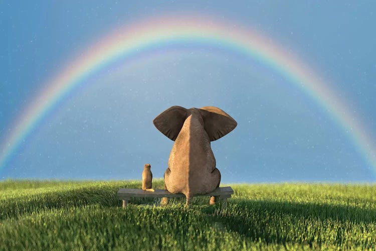 Elephant And Dog Sitting Under The Rainbow On A Green Grass Field