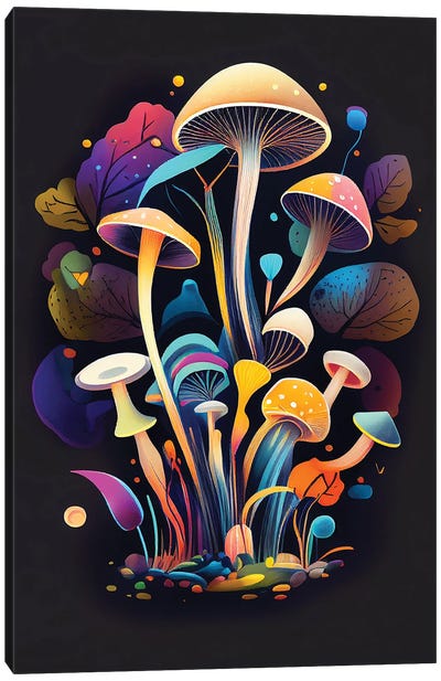 Fantastic Mushrooms II Canvas Art Print - Mike Kiev