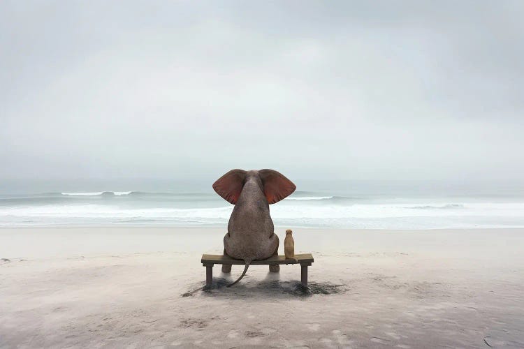 Elephant And Dog Sit On The Deserted Shore