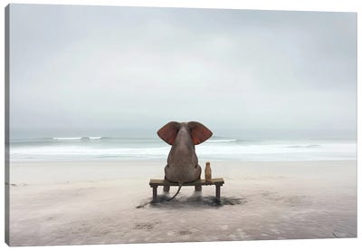 Elephant And Dog Sit On The Deserted Shore Canvas Art Print - Mike Kiev