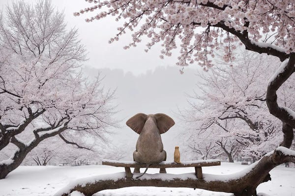 Elephants: Elephant And Dog Sitting In A Snowy Japanese Garden by Mike Kiev