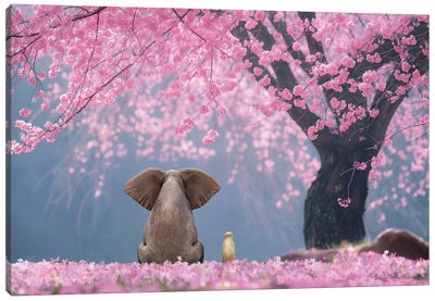 Elephant And Dog Sits Under Cherry Blossoms Canvas Art Print - Mike Kiev