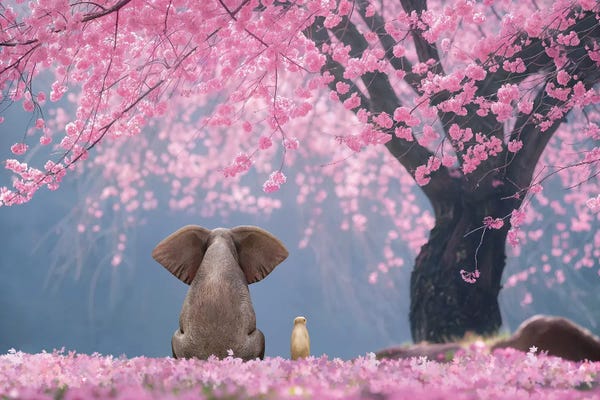 Mike Kiev: Elephant And Dog Sits Under Cherry Blossoms by Mike Kiev