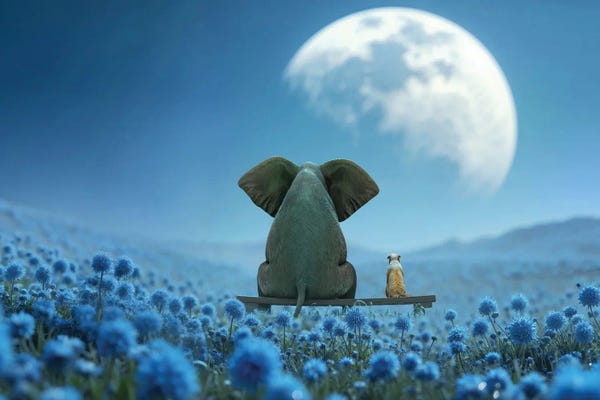 An Elephant And A Dog Are Sitting In A Flowering Field And Looking At The Moon