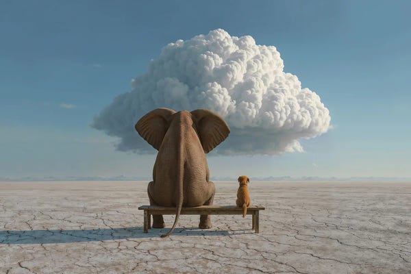 Dog Photography: Elephant And Dog In The Desert by Mike Kiev