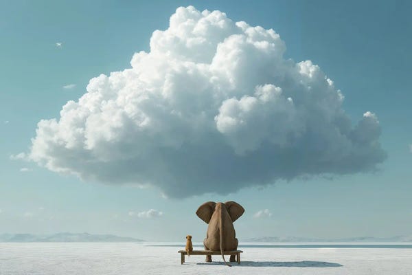 Dog Photography: Elephant And Dog In White Desert by Mike Kiev