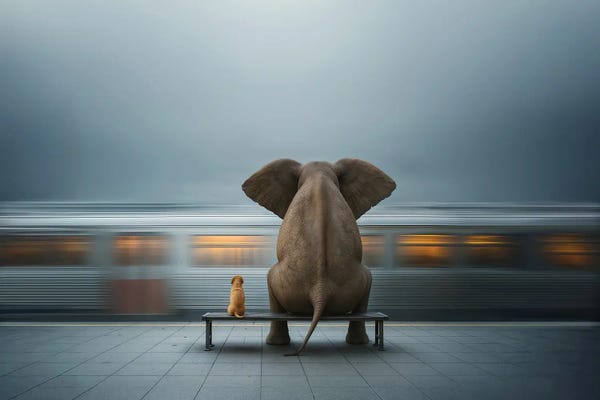 Mike Kiev: Elephant And Dog Sitting At The Railway Station by Mike Kiev