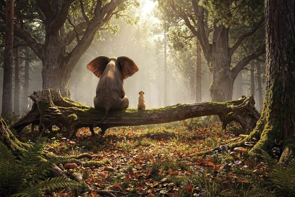 Elephant And Dog Are Sitting In A Deep Forest