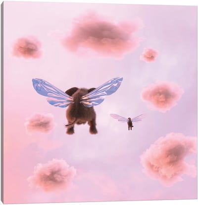 Elephant And Dog Are Flying In The Clouds Canvas Art Print - Mike Kiev