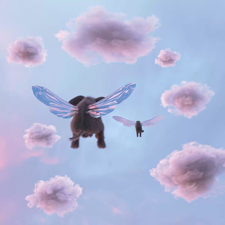 Elephant And Dog Are Flying In The Sky