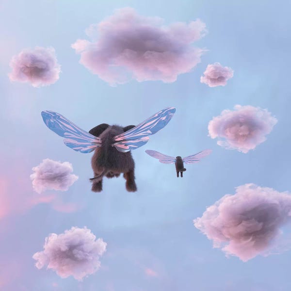 Kids Inspirational Art: Elephant And Dog Are Flying In The Sky by Mike Kiev