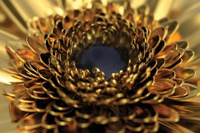 Golden Flower by Mike Kiev art print