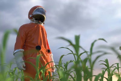 Astronaut On A Green Field by Mike Kiev art print