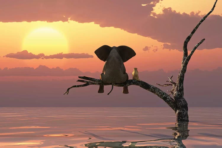 Elephant And Dog Sit On A Tree During A Flood