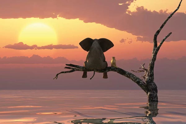 Kids Inspirational Art: Elephant And Dog Sit On A Tree During A Flood by Mike Kiev