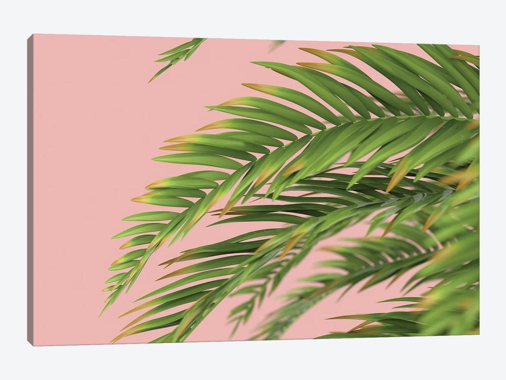 Palm Branch On A Peach Background I by Mike Kiev 1-piece Canvas Art Print