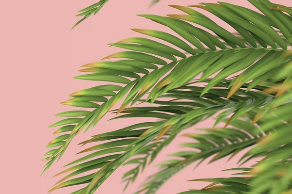 Mike Kiev: Palm Branch On A Peach Background I by Mike Kiev