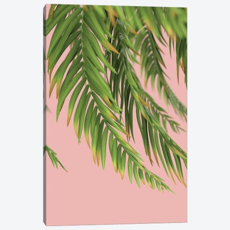 Palm Branch On A Peach Background I Vertical Canvas Print #MII68} by Mike Kiev Canvas Art Print