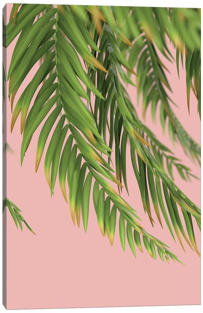 Palm Branch On A Peach Background I Vertical Canvas Art Print - Mike Kiev