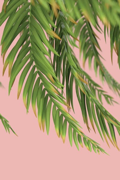 Mike Kiev: Palm Branch On A Peach Background I Vertical by Mike Kiev