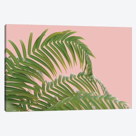 Palm Branch On A Peach Background II Canvas Print #MII69} by Mike Kiev Canvas Print