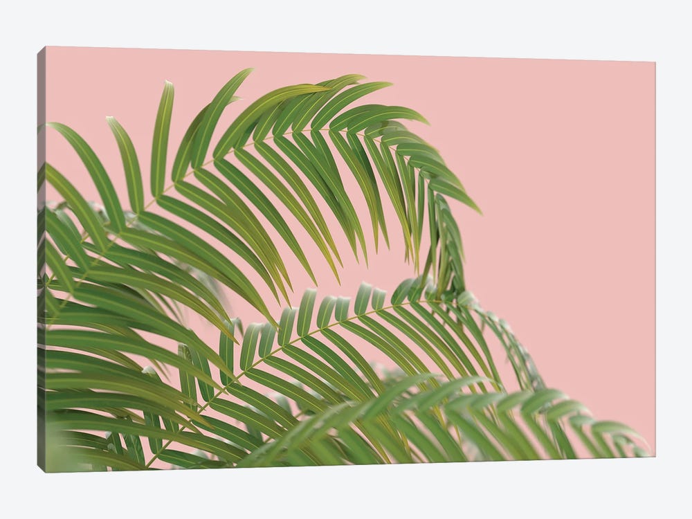 Palm Branch On A Peach Background II by Mike Kiev 1-piece Art Print