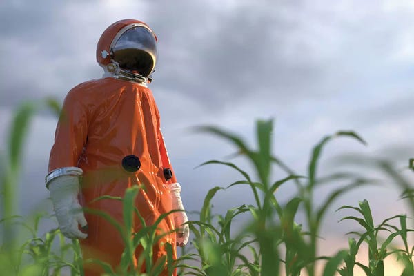 Mike Kiev: Astronaut On A Green Field by Mike Kiev