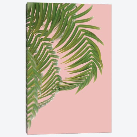 Palm Branch On A Peach Background II Vertical Canvas Print #MII70} by Mike Kiev Canvas Artwork