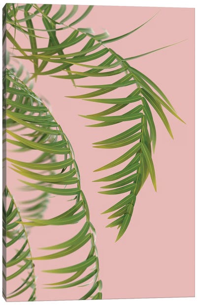 Palm Branch On A Peach Background III Canvas Art Print - Mike Kiev