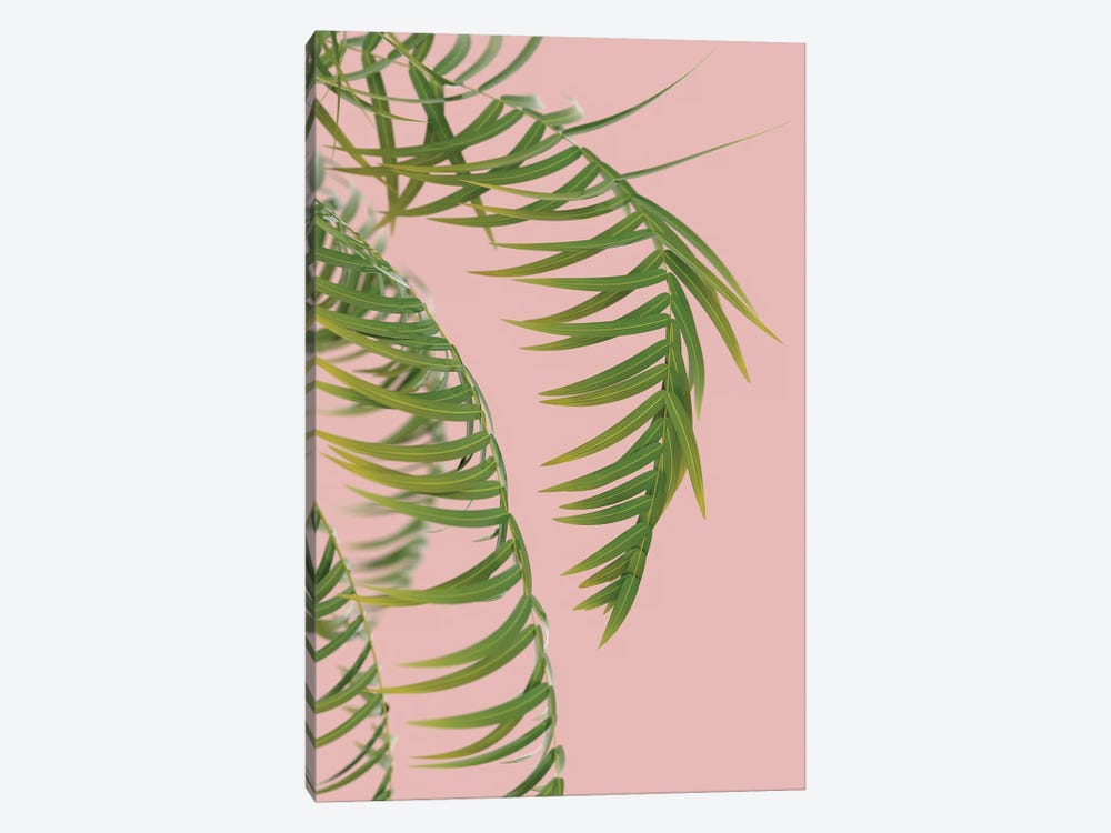 Palm Branch On A Peach Background III by Mike Kiev 1-piece Canvas Artwork