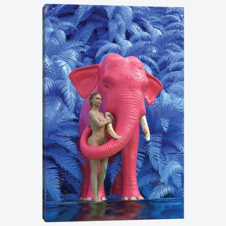 Woman Bathes A Red Elephant Canvas Print #MII81} by Mike Kiev Art Print