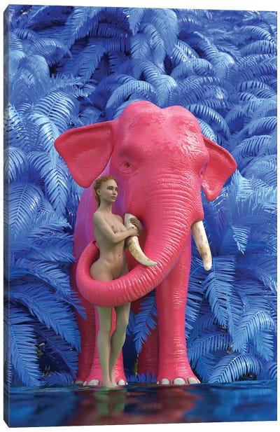 Woman Bathes A Red Elephant Canvas Art Print - Mike Kiev