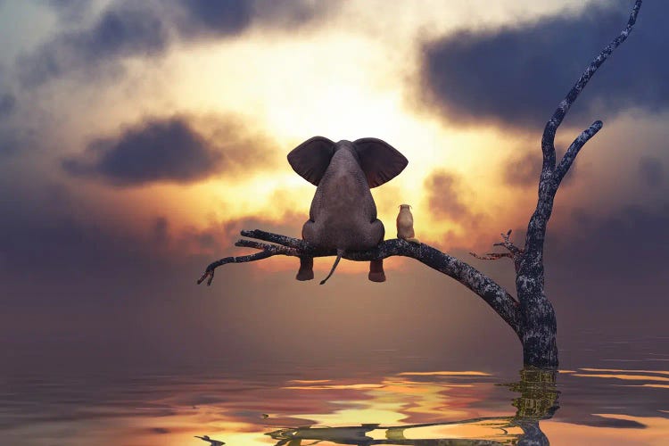 Elephant And Dog Are Sitting On A Tree by Mike Kiev wall art