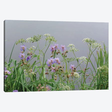 wet wild flowers by the lake Canvas Print #MII86} by Mike Kiev Canvas Wall Art