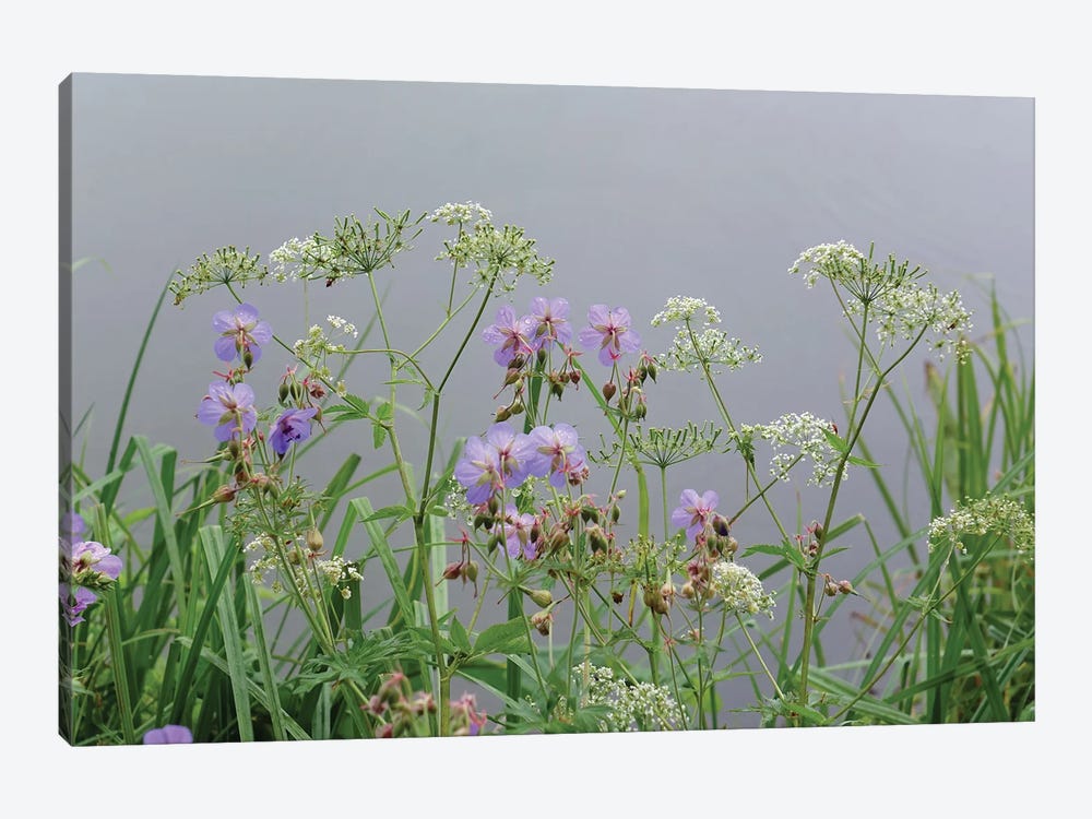 wet wild flowers by the lake by Mike Kiev 1-piece Canvas Art