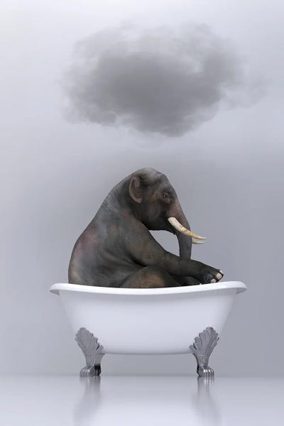 elephant relaxing in the bath by Mike Kiev art print
