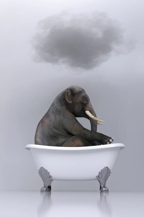 elephant relaxing in the bath